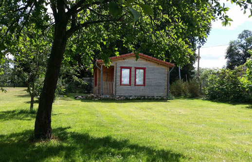 gepflegter grüner Rasen auf dem großen Gartengrundstück