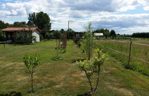 großer Garten, Spielwiese